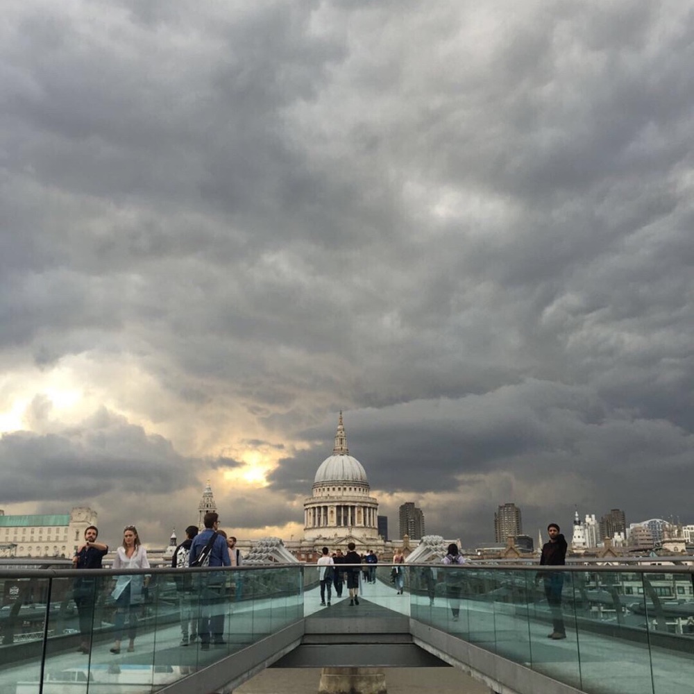 Meet your Posher, Rose